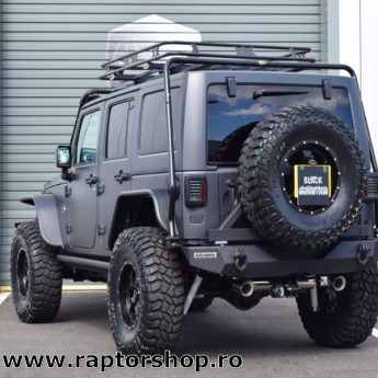 Raptor Culoare Negru