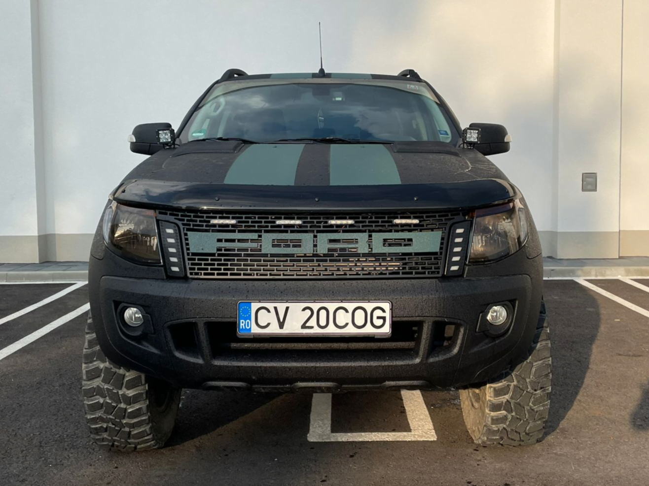 Raptor Negru
