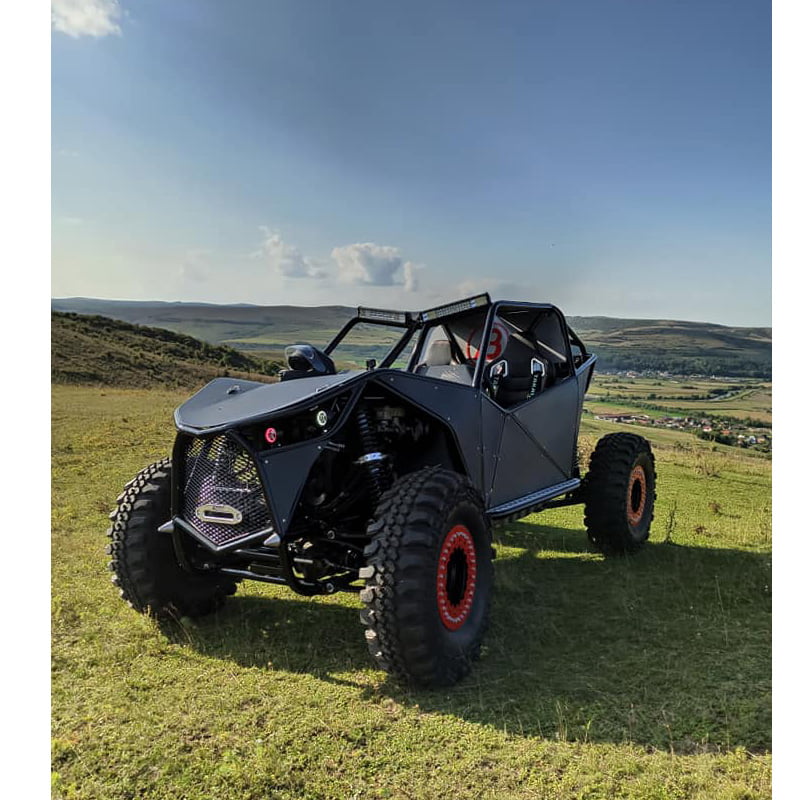 Raptor Negru