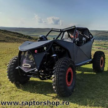 Raptor Negru