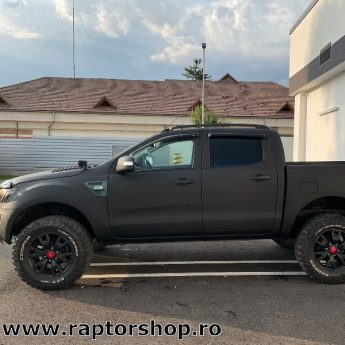 Raptor Negru